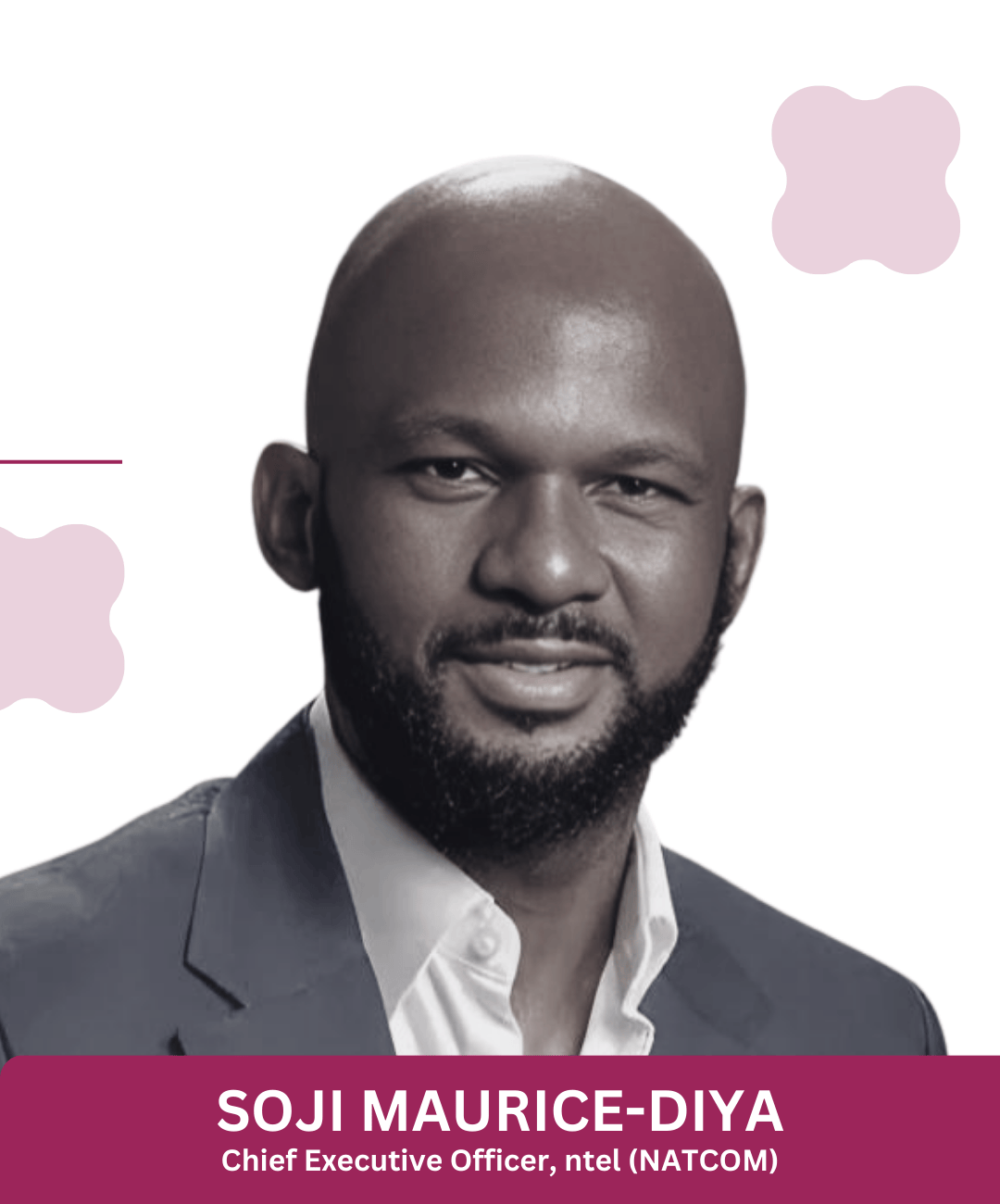 Chief Executive Officer, ntel (NATCOM)